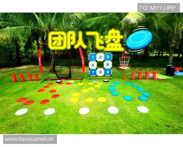 飞盘战术揭秘：北京飞盘队如何实现整体压制与协同作战